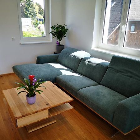 Spacy Apartment Next To The Center Of Graz With Terrasse エクステリア 写真