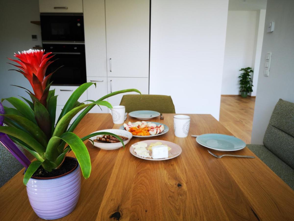 Spacy Apartment Next To The Center Of Graz With Terrasse エクステリア 写真