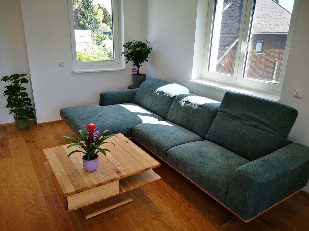 Spacy Apartment Next To The Center Of Graz With Terrasse エクステリア 写真