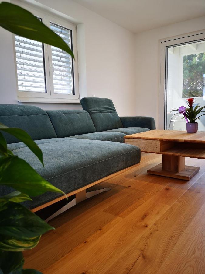 Spacy Apartment Next To The Center Of Graz With Terrasse エクステリア 写真