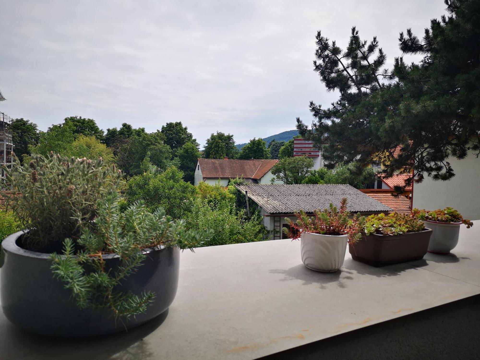 Spacy Apartment Next To The Center Of Graz With Terrasse エクステリア 写真